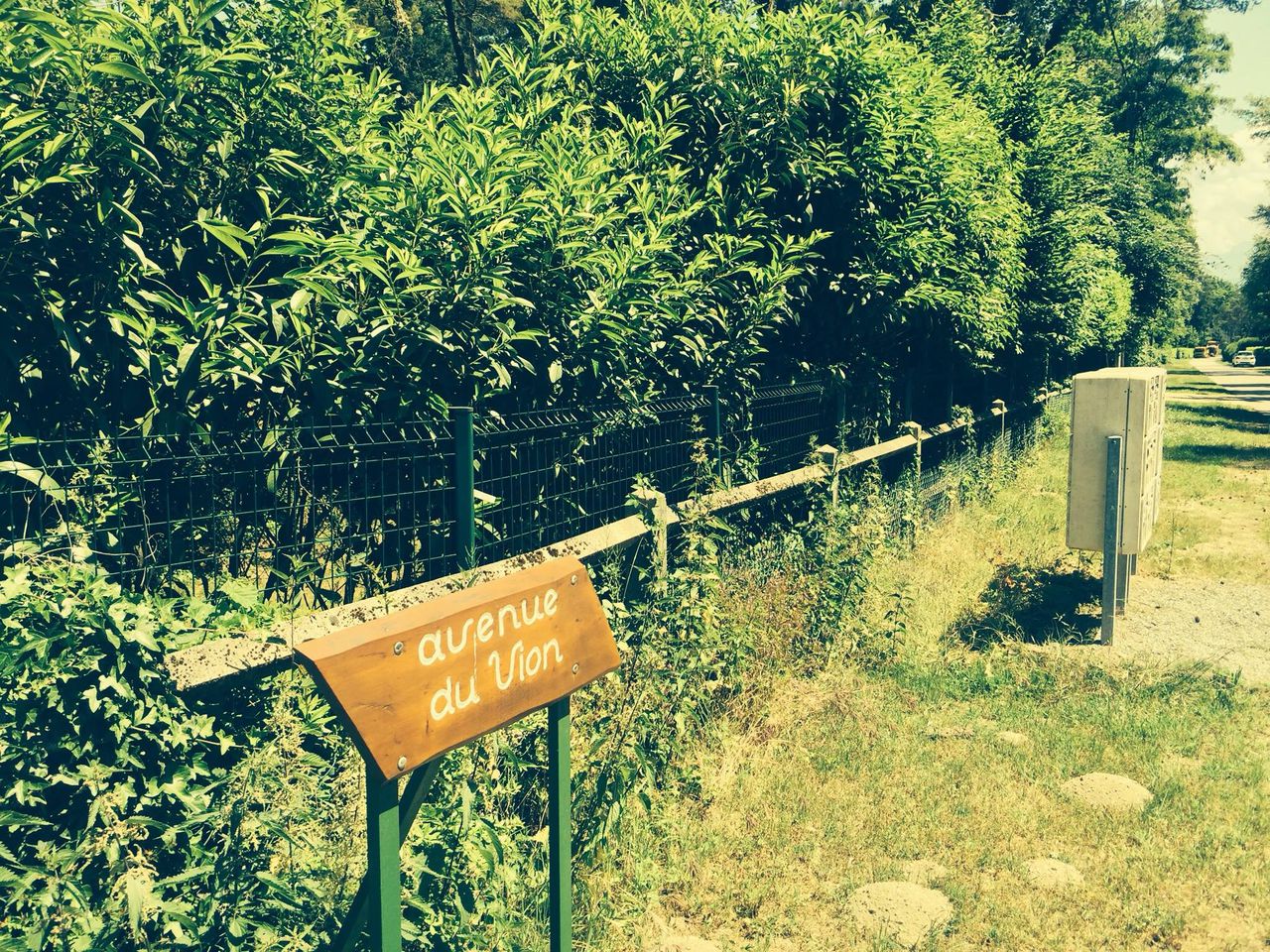 Запрещенные в Молдове протесты переместились к дому Плахотнюка на Женевском озере