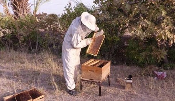 Исламское государство приглашает к себе туристов