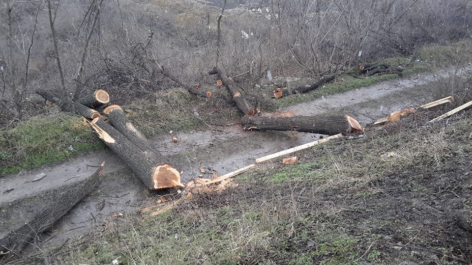 В Кишиневе продолжают пытаться строить новые заправки