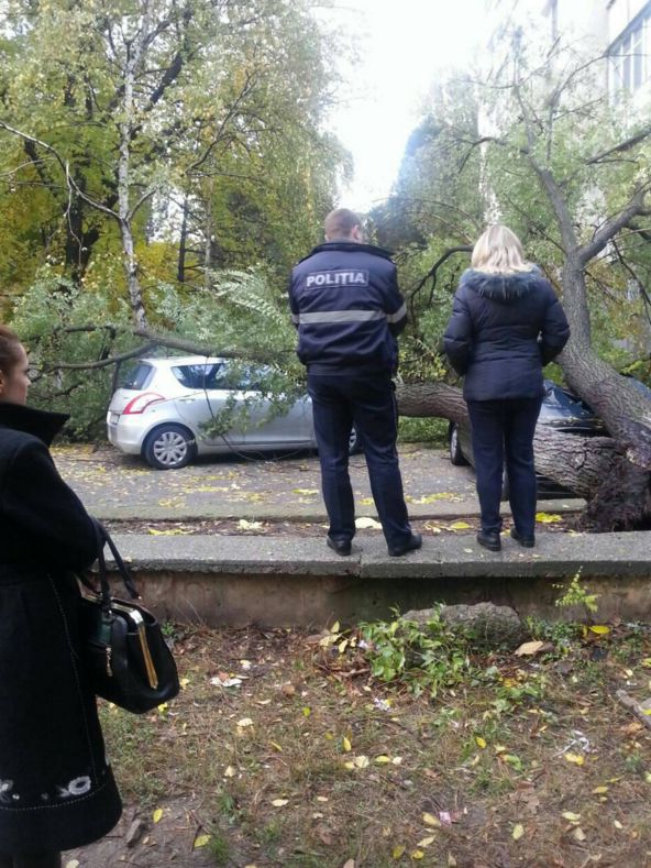 Un arbore a căzut în această dimineaţă peste patru automobile