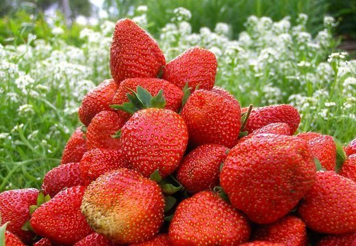 Не перегрейтесь: Семь продуктов, позволяющих утолить жажду