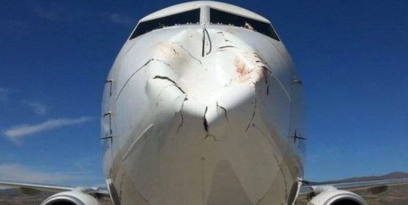 Стая птиц расплющила нос турецкому самолету