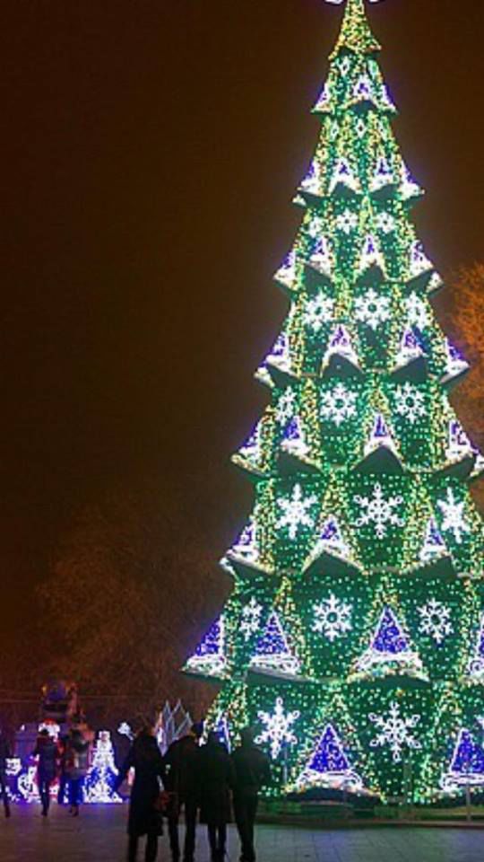 Usatîi: Eu ştiam că bradul meu va fi mai frumos şi mai înalt decît cel al lui Chirtoacă