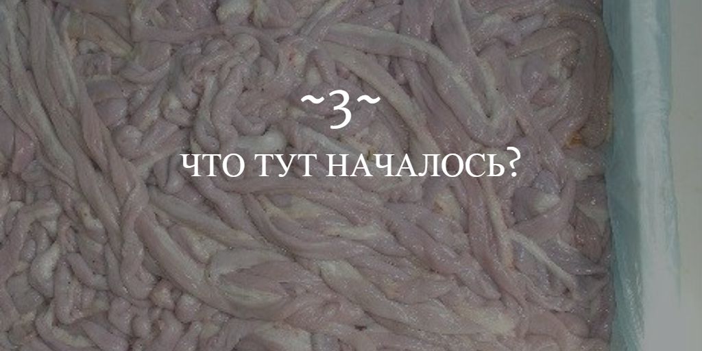 Мясной скандал: почему правительство обвинили в монополизации и вредительстве