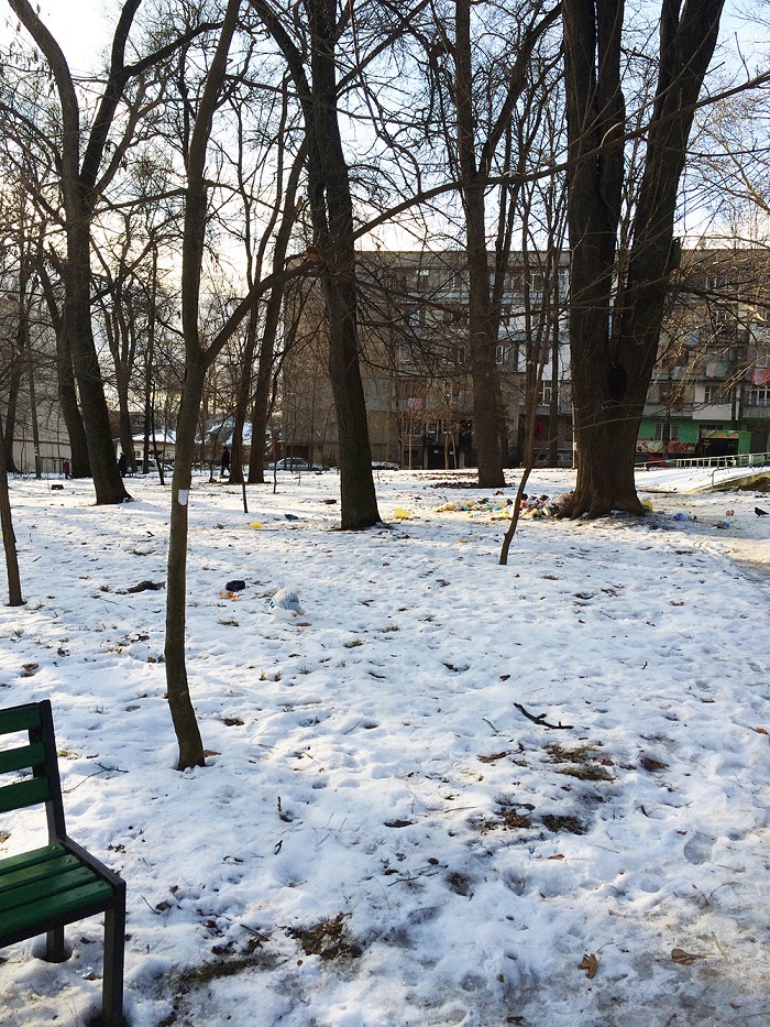 В парке на Рышкановке образовалась свалка мусора