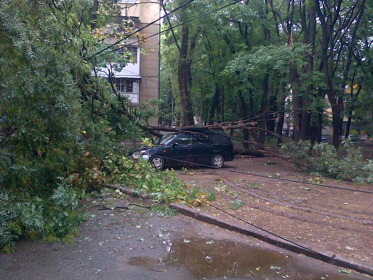 На Рышкановке дерево свалилось на машину