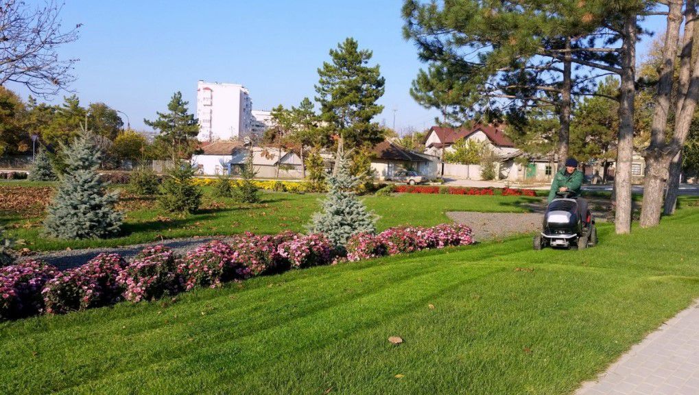 Orheiul se vrea ca Olanda. Autoritățile au plantat 40 de mii de lalele