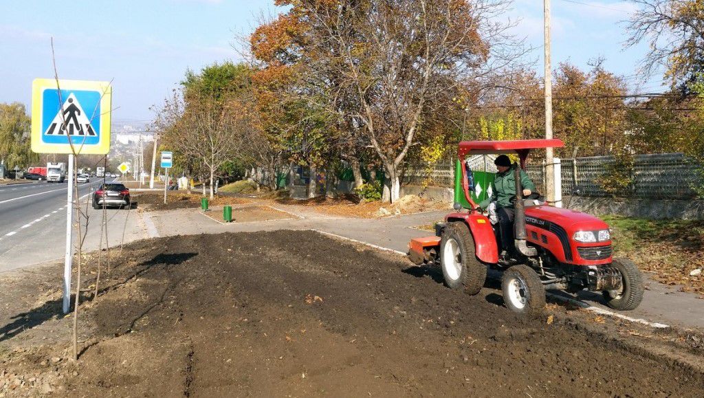 Orheiul se vrea ca Olanda. Autoritățile au plantat 40 de mii de lalele