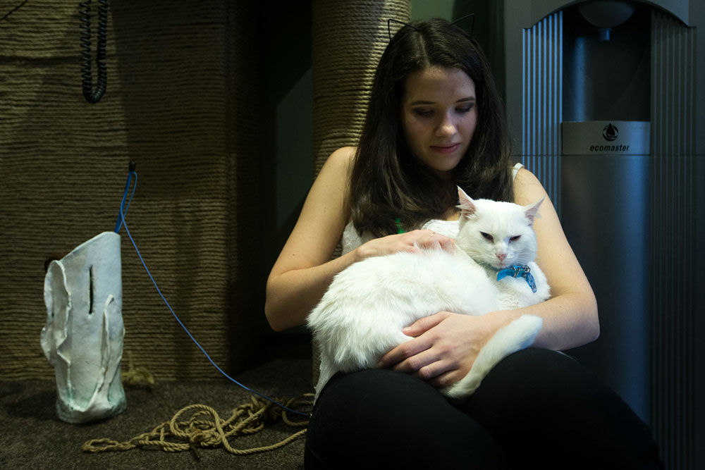 В Москве открылось первое японское котокафе