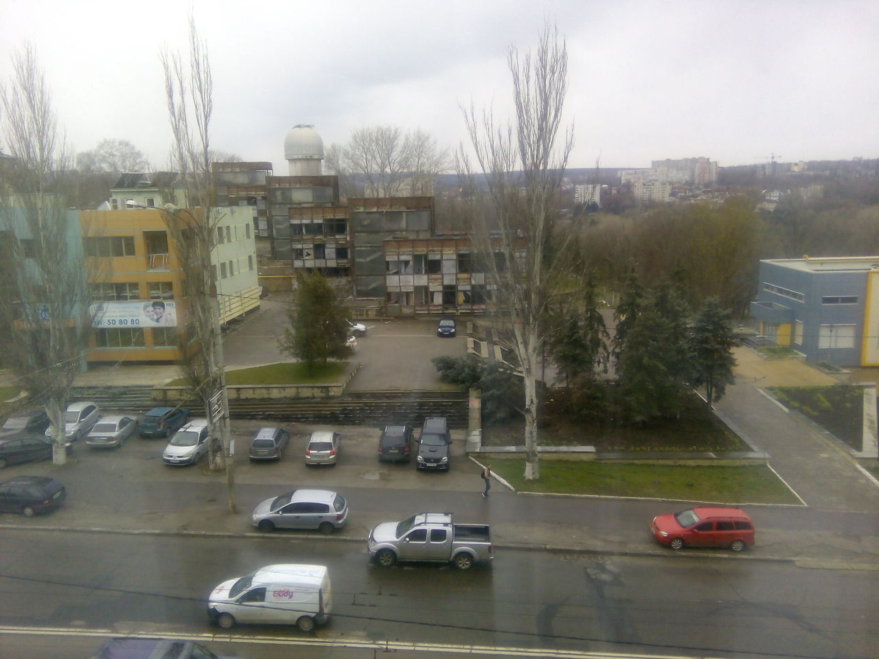Несколько деревьев в Кишиневе повалено ветром