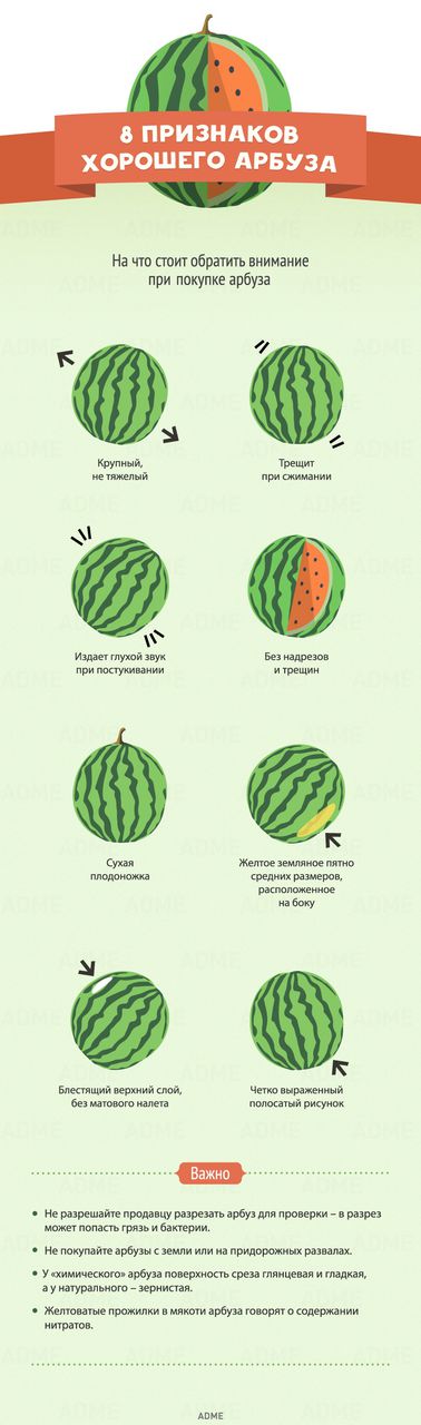 Восемь признаков хорошего арбуза