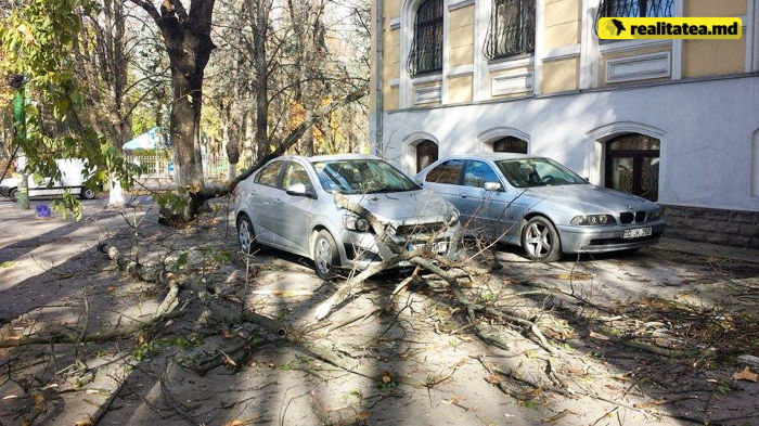 В центре Кишинева на машину упало дерево