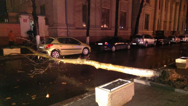Ambuteiaj din cauza unui copac cazut pe strada Eminescu din capitala