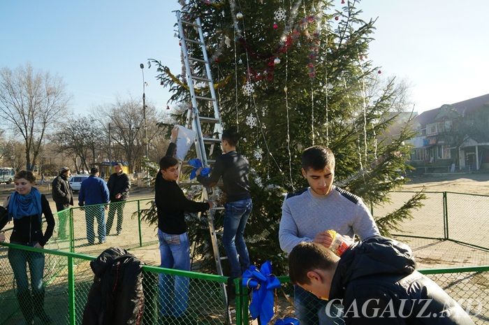Представители Молодёжного совета украсили новогоднюю ель в Чадыр-Лунге