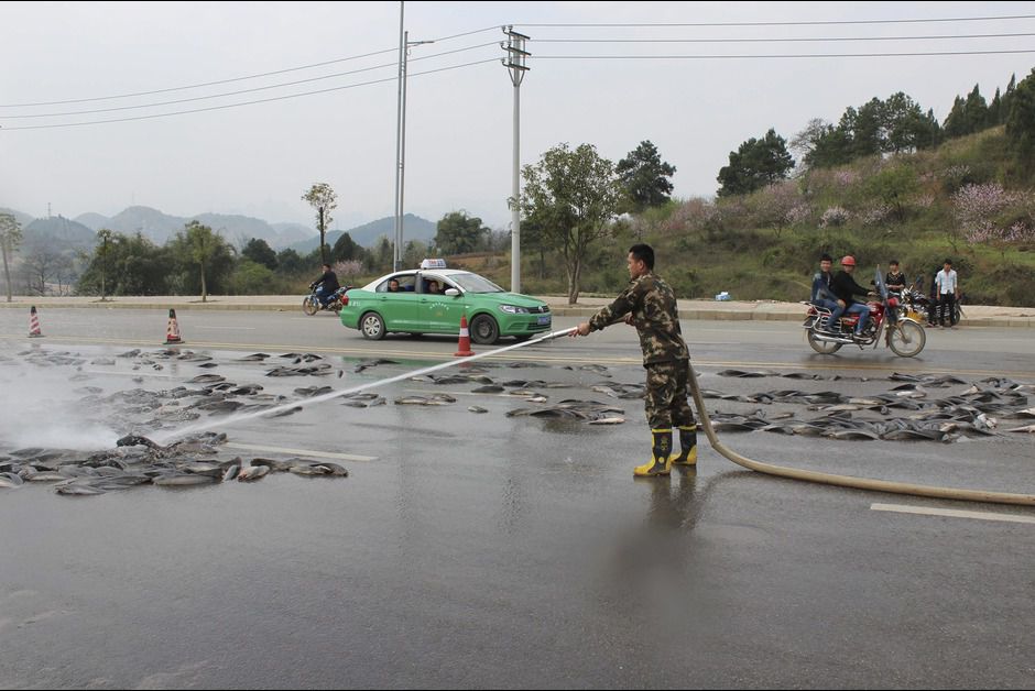 Într-un oraș din China a plouat cu pești