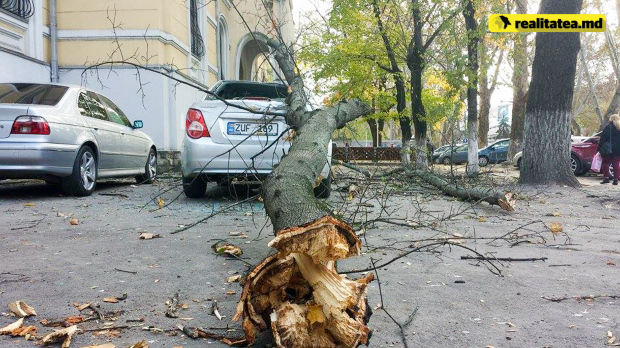 Mașină distrusă de un copac în centrul capitalei