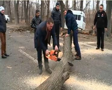 В Кишиневе дерево упало на автомобиль