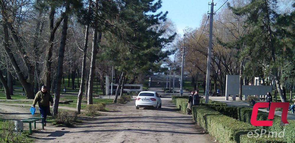 В Бельцах по центральному парку разъезжал автомобиль