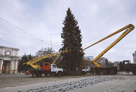 Рождественскую ель установили в центре столицы
