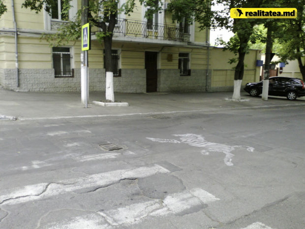 В Кишиневе на пешеходном переходе нарисовали настоящую зебру