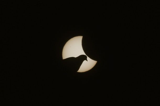 Солнечное затмение 2015: лучшие фотографии со всего мира