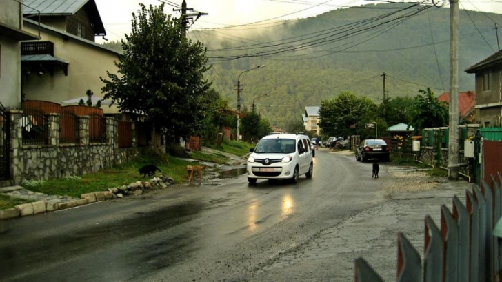 Dacia Logan III? Dacia testează noi modele Logan, Sandero şi Duster. Imagini spion