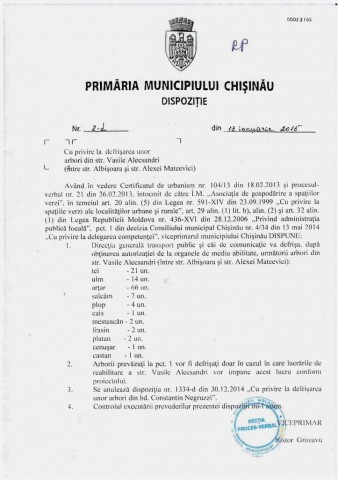 Свыше 160 деревьев на двух столичных улицах могут быть вырублены