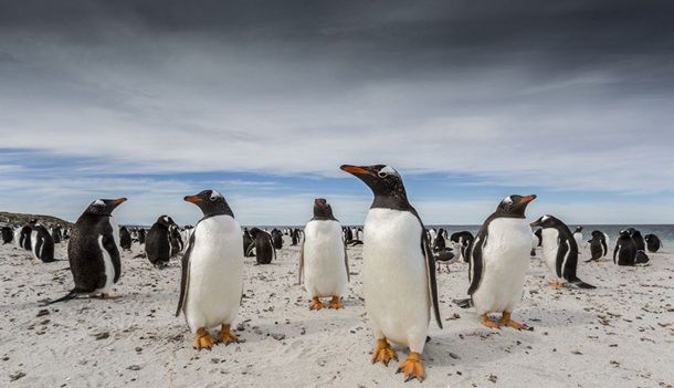 Названы финалисты фотоконкурса National Geographic Traveller