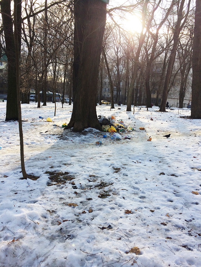 В парке на Рышкановке образовалась свалка мусора