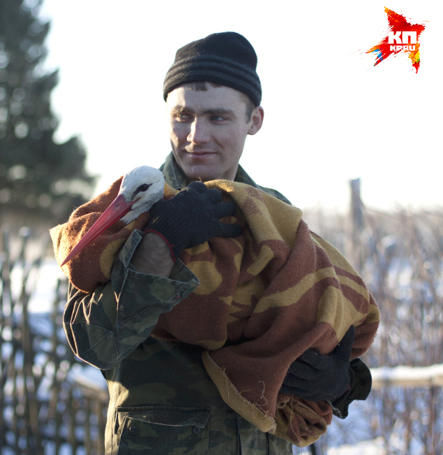 Белый аист спас от одиночества бабушку в Тверской области