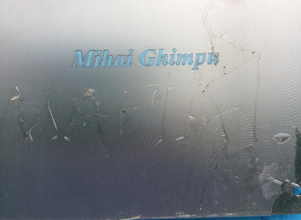 Ghimpu enervat: Să li se usuce mâinile