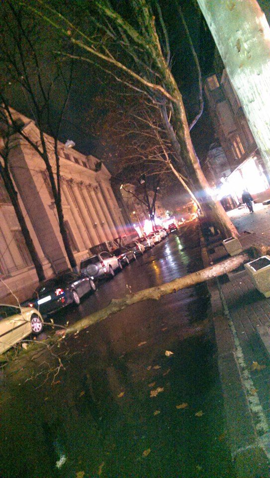 Ambuteiaj din cauza unui copac cazut pe strada Eminescu din capitala