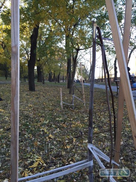 В Одессе уничтожили аллею Небесной сотни