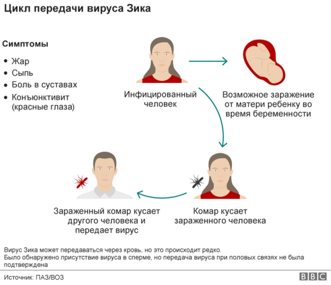 ВОЗ созывает экстренное заседание из-за вируса Зика
