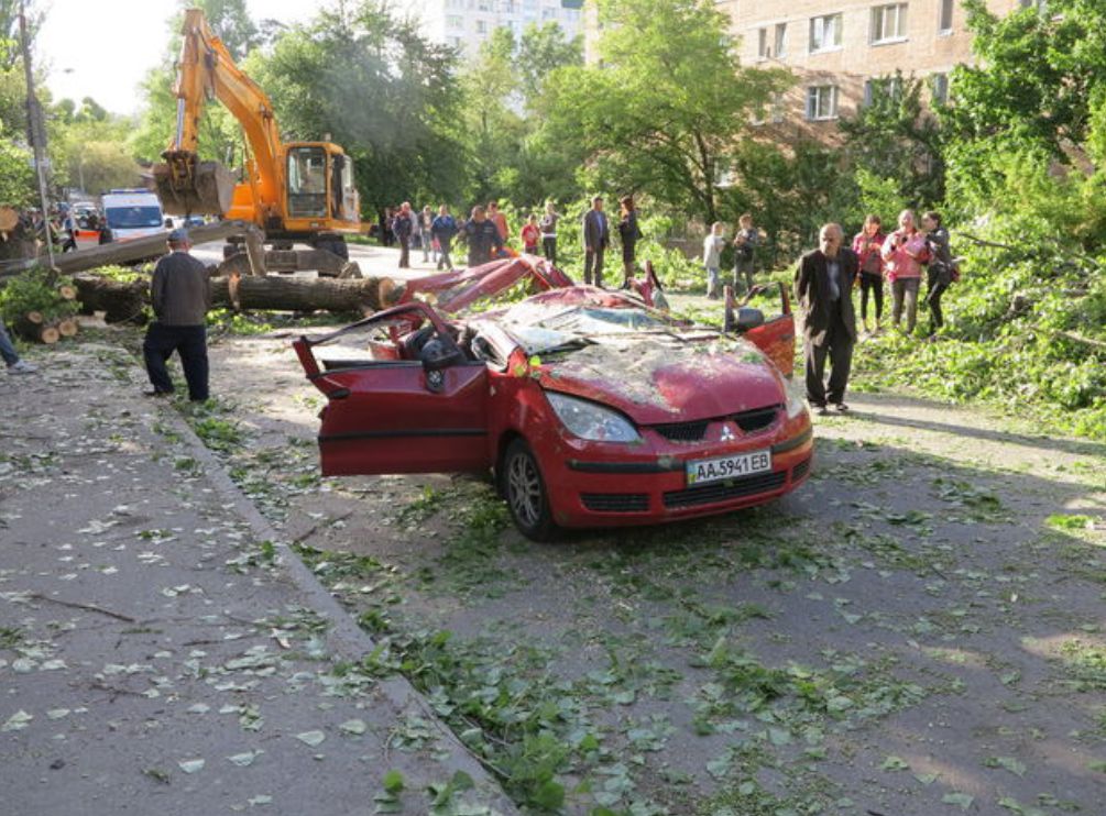 В Киеве упавший тополь убил 5-летнего малыша в день рождения его мамы