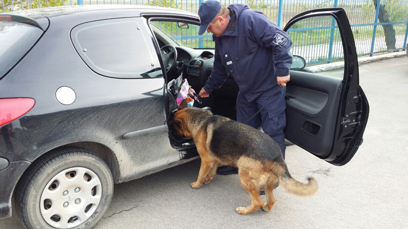 Двоих граждан задержали с контрабандой при выезде из страны