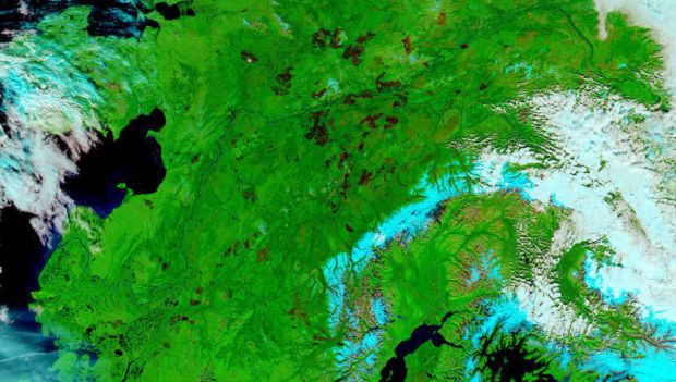 NASA: В этом году пожары нанесли большой ущерб природе Аляски