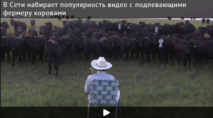 В Сети набирает популярность видео с подпевающими фермеру коровами