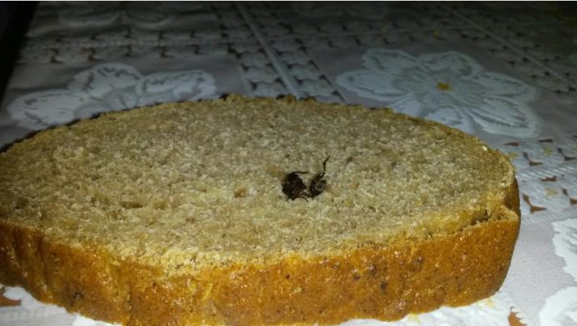 5 шокирующих вещей, найденных кишинёвцами в продуктах питания