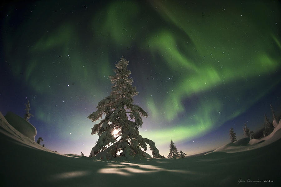 ​Северное сияние: Фотографу удалось запечатлеть уникальные кадры