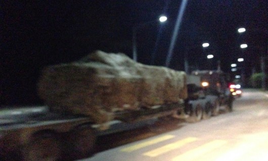 Forțele Armate ale Moldovei se pregătesc de război?