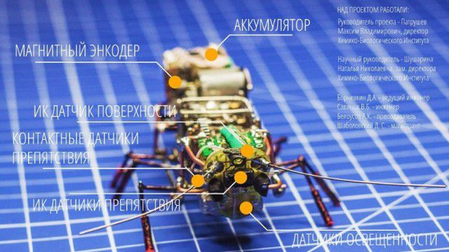 Российские ученые создали робота-таракана