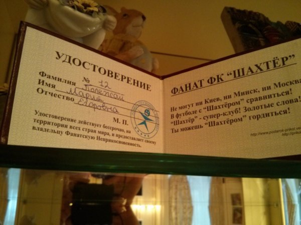 Скандальные подробности быта Януковича. Фоторепортаж из Межигорья