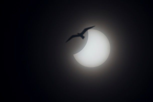 Солнечное затмение 2015: лучшие фотографии со всего мира
