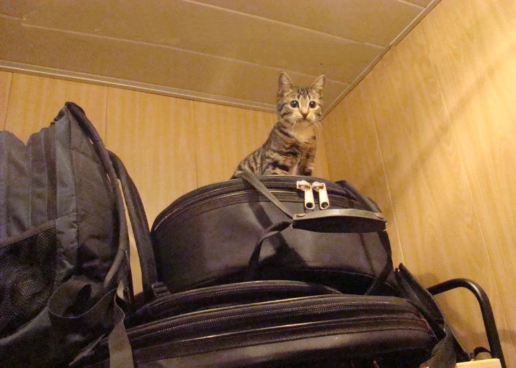 13 привычек, которые есть только у нашего человека