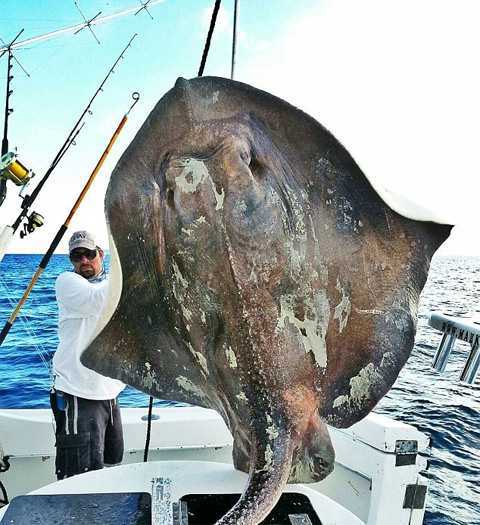 Рыбак вытащил из морских глубин заросшего ракушками динозавра