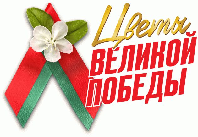 Belarusul a interzis panglica "Sfântul Gheorghe"