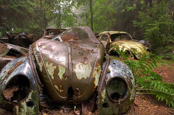Фотоподборка: 70-летняя автомобильная пробка в бельгийском лесу