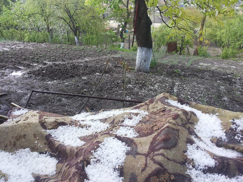 В Яловенах выпал дождь с градом, пострадали фруктовые деревья