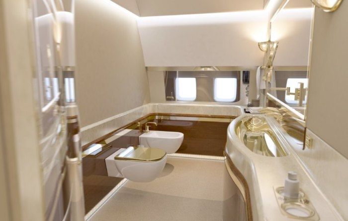 Cum arată avionul lui Vladimir Putin